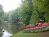 Filename=DSCN0895.JPG
Filesize=440KiB
Dimensions=1600x1200
Date added=May 07, 2005 DSCN0895.JPG