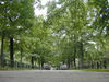 Filename=DSCN2454.JPG
Filesize=456KiB
Dimensions=1600x1200
Date added=May 08, 2005 DSCN2454.JPG