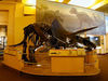 Filename=200308-18.JPG
Filesize=352KiB
Dimensions=1200x900
Date added=Mar 15, 2006 200308-18.JPG