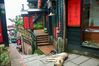 Filename=20050924-08.JPG
Filesize=445KiB
Dimensions=1809x1200
Date added=Sep 27, 2005 20050924-08.JPG