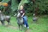 Filename=20050924-33.JPG
Filesize=685KiB
Dimensions=1809x1200
Date added=Sep 27, 2005 20050924-33.JPG