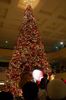 Filename=2005XMas2006-04.JPG
Filesize=317KiB
Dimensions=898x1354
Date added=Jan 03, 2006 2005XMas2006-04.JPG