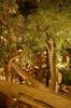 Filename=20060121-26.JPG
Filesize=346KiB
Dimensions=748x1128
Date added=Mar 13, 2006 20060121-26.JPG