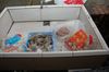Filename=20060204-06.JPG
Filesize=184KiB
Dimensions=1128x748
Date added=Feb 08, 2006 20060204-06.JPG