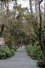 Filename=20060204-11.JPG
Filesize=378KiB
Dimensions=748x1128
Date added=Feb 08, 2006 20060204-11.JPG