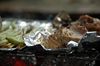 Filename=20060204-45.JPG
Filesize=145KiB
Dimensions=1128x748
Date added=Feb 08, 2006 20060204-45.JPG
