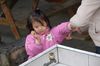 Filename=20060204-66.JPG
Filesize=156KiB
Dimensions=1128x748
Date added=Feb 08, 2006 20060204-66.JPG