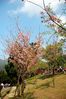 Filename=20060311-035.JPG
Filesize=603KiB
Dimensions=1000x1504
Date added=Mar 12, 2006 20060311-035.JPG