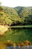 Filename=Ann-20060511-03.JPG
Filesize=442KiB
Dimensions=748x1128
Date added=May 13, 2006 Ann-20060511-03.JPG