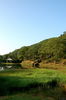 Filename=Ann-20060511-11.JPG
Filesize=295KiB
Dimensions=748x1128
Date added=May 13, 2006 Ann-20060511-11.JPG