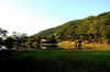 Filename=Ann-20060511-12.JPG
Filesize=325KiB
Dimensions=1128x748
Date added=May 13, 2006 Ann-20060511-12.JPG