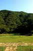 Filename=Ann-20060511-16.JPG
Filesize=433KiB
Dimensions=748x1128
Date added=May 13, 2006 Ann-20060511-16.JPG