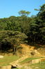 Filename=Ann-20060511-17.JPG
Filesize=485KiB
Dimensions=748x1128
Date added=May 13, 2006 Ann-20060511-17.JPG