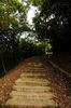 Filename=Yu-20060513-24.JPG
Filesize=441KiB
Dimensions=748x1128
Date added=May 13, 2006 Yu-20060513-24.JPG