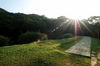 Filename=Yu-20060513-27.JPG
Filesize=325KiB
Dimensions=1128x748
Date added=May 13, 2006 Yu-20060513-27.JPG