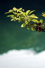 Filename=Yu-20060513-33.JPG
Filesize=162KiB
Dimensions=748x1128
Date added=May 13, 2006 Yu-20060513-33.JPG