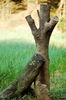 Filename=Yu-20060513-35.JPG
Filesize=322KiB
Dimensions=748x1128
Date added=May 13, 2006 Yu-20060513-35.JPG