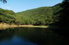 Filename=Yu-20060513-39.JPG
Filesize=317KiB
Dimensions=1128x748
Date added=May 13, 2006 Yu-20060513-39.JPG