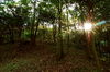Filename=Yu-20060513-40.JPG
Filesize=498KiB
Dimensions=1128x748
Date added=May 13, 2006 Yu-20060513-40.JPG