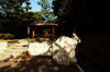Filename=Yu-20060513-44.JPG
Filesize=313KiB
Dimensions=1128x748
Date added=May 13, 2006 Yu-20060513-44.JPG