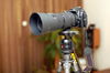Filename=20060529-18.JPG
Filesize=189KiB
Dimensions=1128x748
Date added=May 30, 2006 20060529-18.JPG
