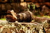 Filename=20061008-002.JPG
Filesize=364KiB
Dimensions=1128x748
Date added=Oct 24, 2006 20061008-002.JPG