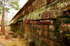 Filename=20061008-016.JPG
Filesize=554KiB
Dimensions=1128x748
Date added=Oct 24, 2006 20061008-016.JPG