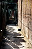 Filename=20061008-097.JPG
Filesize=365KiB
Dimensions=748x1128
Date added=Oct 24, 2006 20061008-097.JPG