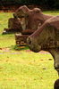 Filename=20061009-008.JPG
Filesize=316KiB
Dimensions=748x1128
Date added=Oct 24, 2006 20061009-008.JPG