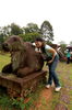 Filename=20061009-012.JPG
Filesize=367KiB
Dimensions=748x1128
Date added=Oct 24, 2006 20061009-012.JPG