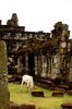Filename=20061009-015.JPG
Filesize=310KiB
Dimensions=748x1128
Date added=Oct 24, 2006 20061009-015.JPG