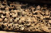 Filename=20061009-063.JPG
Filesize=409KiB
Dimensions=1128x748
Date added=Oct 24, 2006 20061009-063.JPG