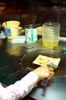 Filename=20061009-081.JPG
Filesize=190KiB
Dimensions=748x1128
Date added=Oct 24, 2006 20061009-081.JPG