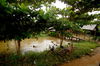 Filename=20061010-001.JPG
Filesize=403KiB
Dimensions=1128x748
Date added=Oct 24, 2006 20061010-001.JPG
