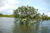 Filename=20061010-033.JPG
Filesize=409KiB
Dimensions=1128x748
Date added=Oct 24, 2006 20061010-033.JPG