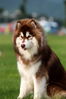 Filename=20070506_161934.JPG
Filesize=486KiB
Dimensions=1296x1936
Date added=May 06, 2007 20070506_161934.JPG