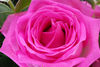 Filename=20070819_213028.JPG
Filesize=1251KiB
Dimensions=2896x1944
Date added=Aug 19, 2007 20070819_213028.JPG