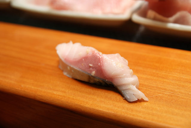 阿吉師－青花魚