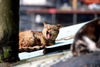 Filename=DSC_3514.JPG
Filesize=1089KiB
Dimensions=2896x1944
Date added=Jan 28, 2007 DSC_3514.JPG