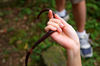 Filename=20071027_122615_No5227.JPG
Filesize=1540KiB
Dimensions=2256x1496
Date added=Oct 29, 2007 20071027_122615_No5227.JPG