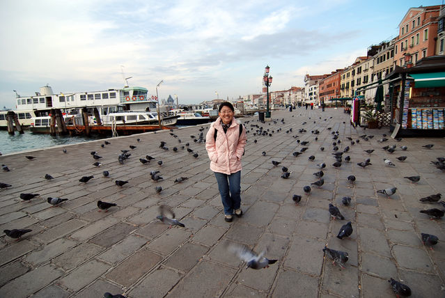 威尼斯之笨鴿不飛