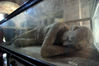 Filename=20071116_103739.JPG
Filesize=903KiB
Dimensions=1936x1296
Date added=Nov 25, 2007 20071116_103739.JPG
