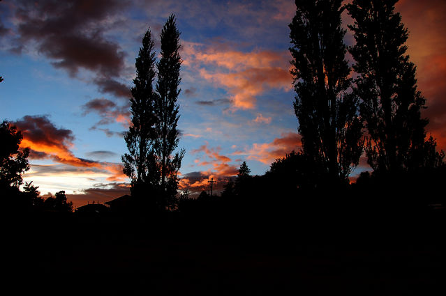 蒂阿瑙湖的清晨