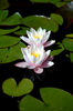 Filename=20070219_150117.JPG
Filesize=574KiB
Dimensions=1496x2256
Date added=Mar 07, 2007 20070219_150117.JPG
