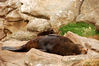 Filename=20070225_190205.JPG
Filesize=2042KiB
Dimensions=3008x2000
Date added=Mar 10, 2007 20070225_190205.JPG