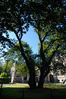 Filename=20070226_102110.JPG
Filesize=1332KiB
Dimensions=1296x1936
Date added=Mar 11, 2007 20070226_102110.JPG
