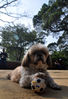 Filename=20090102_113112.JPG
Filesize=504KiB
Dimensions=1083x1578
Date added=Jan 04, 2009 20090102_113112.JPG