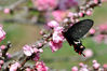 Filename=20090308_102720.JPG
Filesize=652KiB
Dimensions=2144x1424
Date added=Mar 10, 2009 20090308_102720.JPG