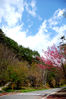 Filename=20090308_111414.JPG
Filesize=1074KiB
Dimensions=1296x1936
Date added=Mar 10, 2009 20090308_111414.JPG