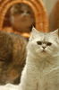 Filename=DSC_8029.JPG
Filesize=303KiB
Dimensions=1496x2256
Date added=Feb 21, 2006 DSC_8029.JPG